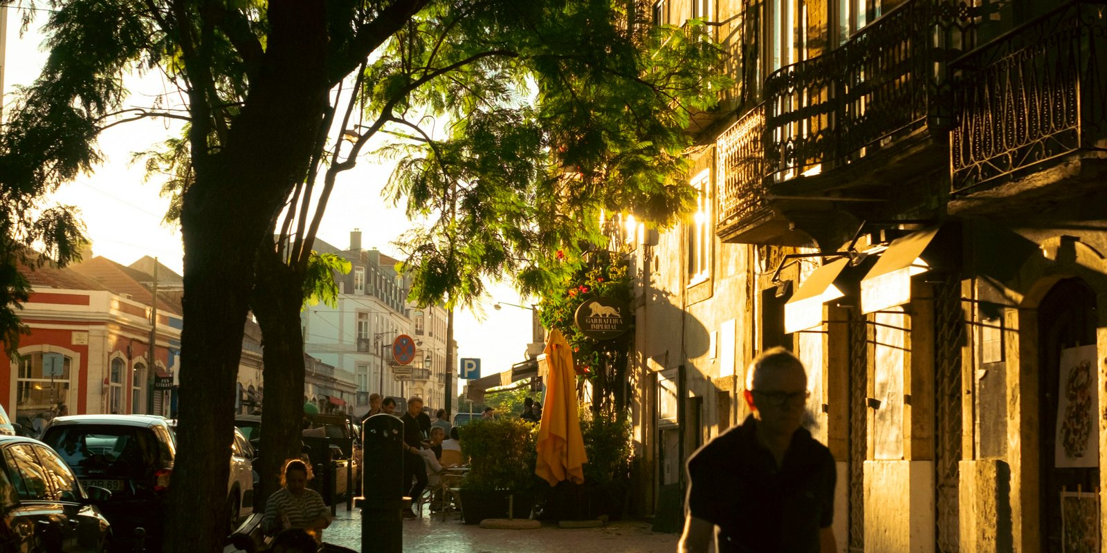 Calle europea al atardecer con luz dorada entre los árboles