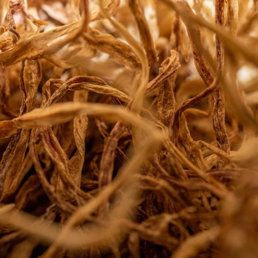 Raíces secas en primer plano con luz cálida