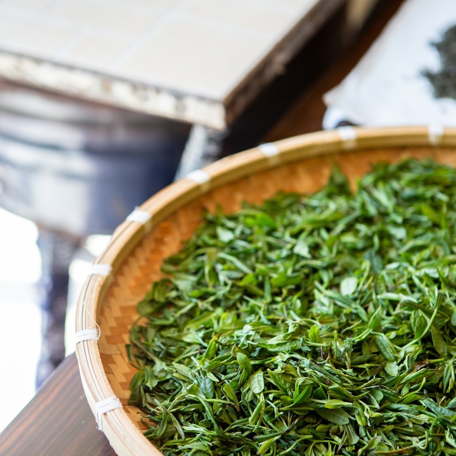 Hojas de té verde recién recogidas en una cesta de bambú